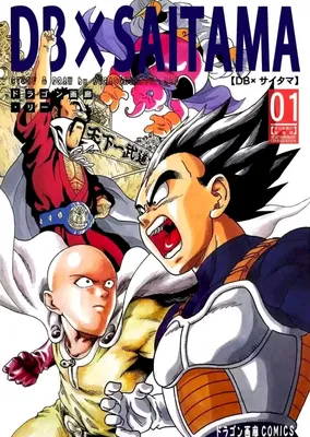 DB X Saitama