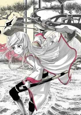 kamigawa neon dynasty: the manga