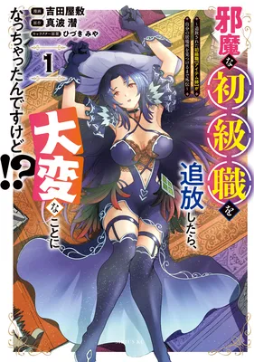 Jama na Shokyuu Shoku o Tsuihou Shitara, Taihen na Koto ni Nacchattan desu kedo!?: Tsuihou Sareta Shokyuu Shoku "Item-shi" ga Jibun no Ibasho o Mitsukeru made Gaiden