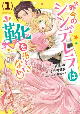 Sakkon no Cinderella wa Kutsu wo Otosanai