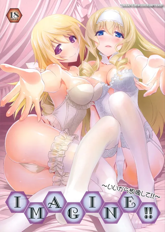 Infinite Stratos - IMAGINE!! ~Iikara Souzou Shite!!~ (Doujinshi)