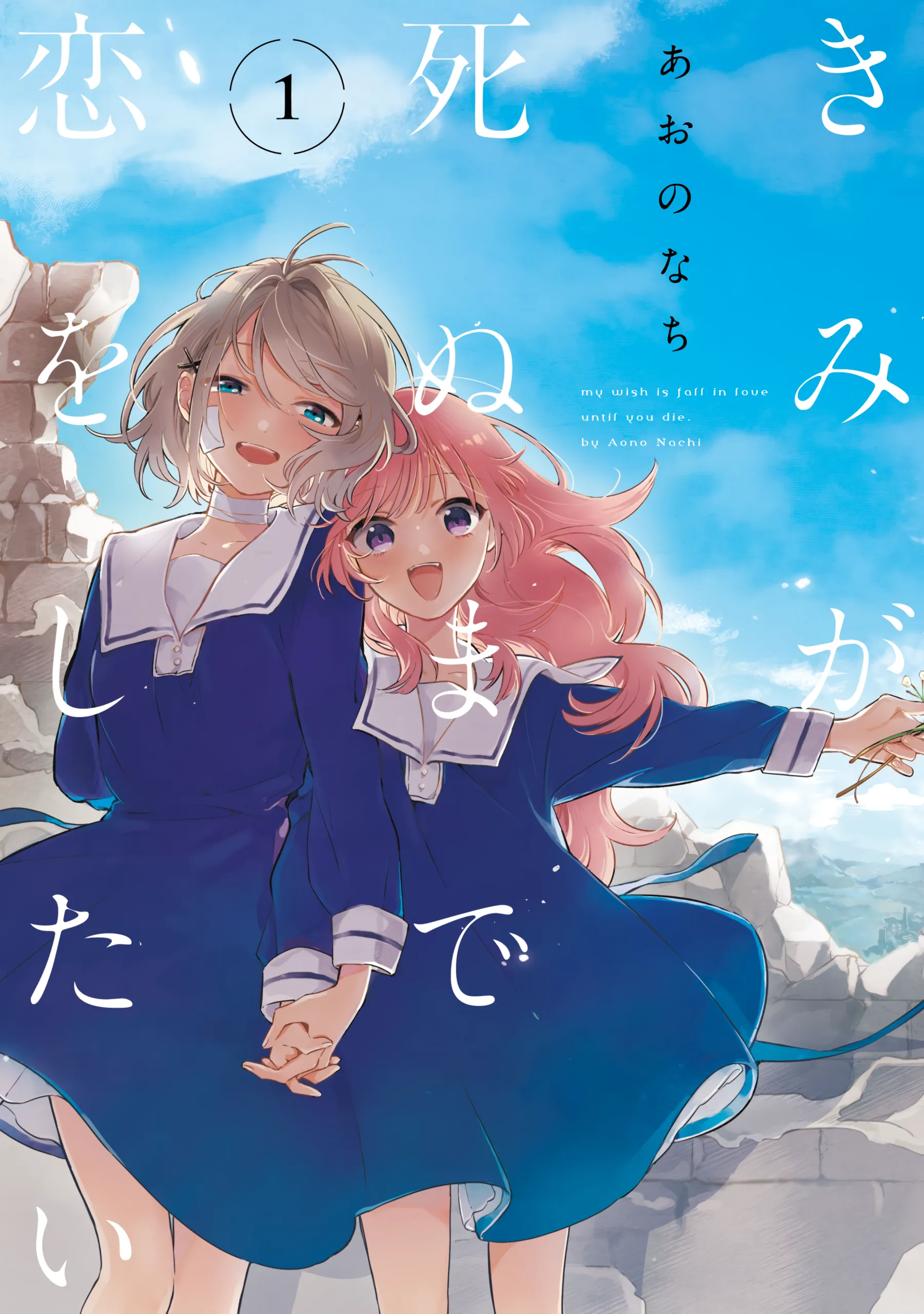 Kimi ga Shinu made Koi wo Shitai background