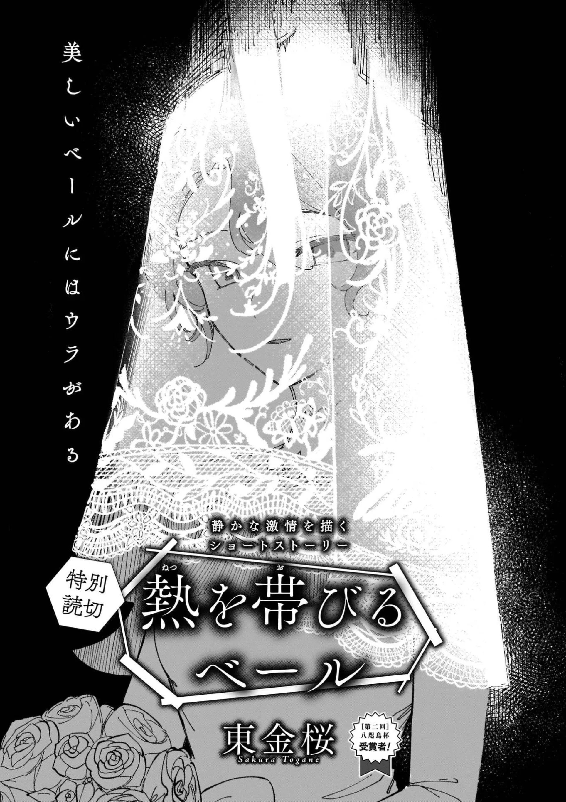 Netsu wo Obiru Veil background