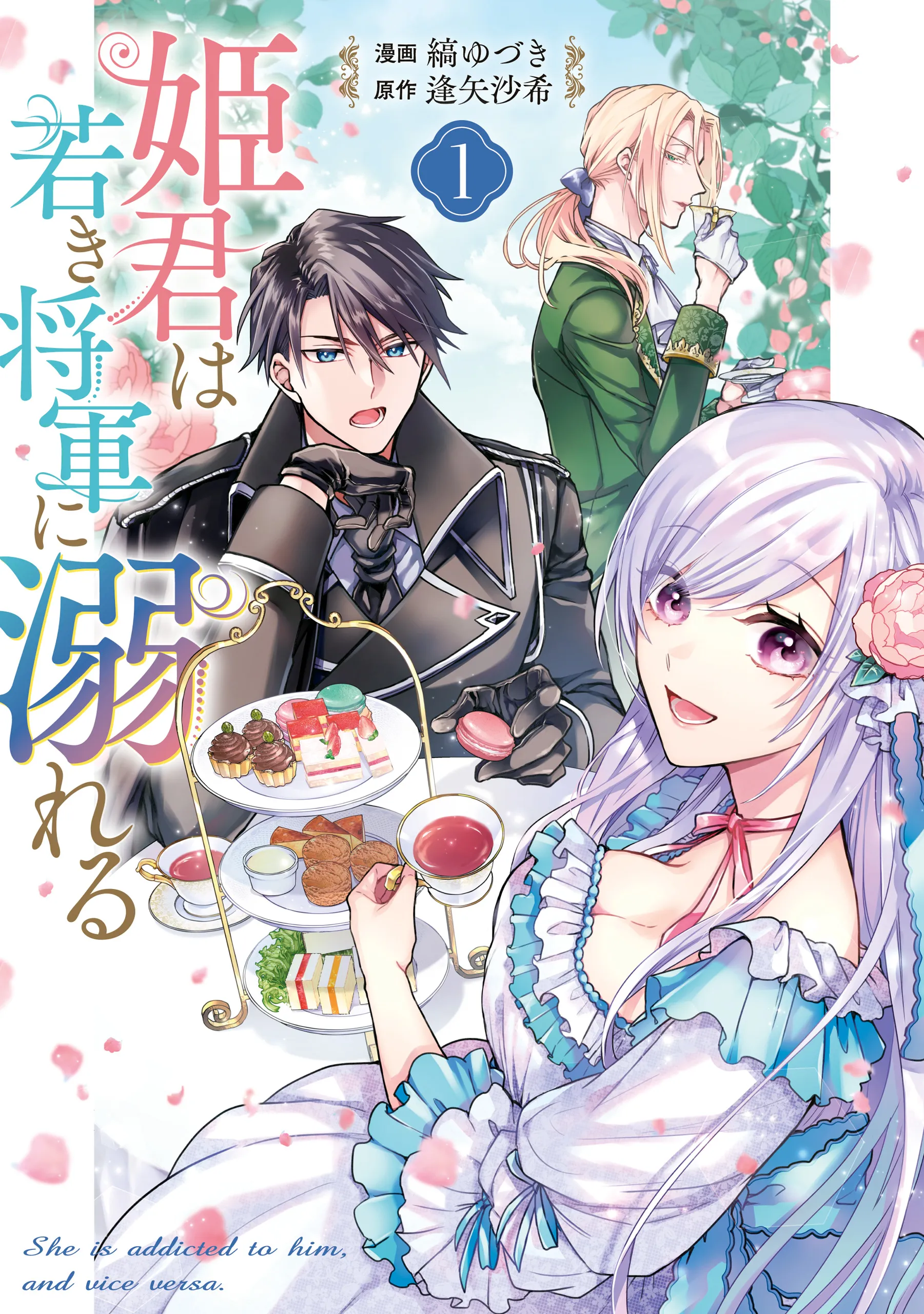 Himegimi wa Wakaki Shougun ni Oboreru background