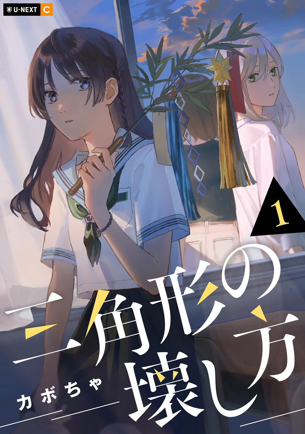Sankakkei no Kowashi-kata background