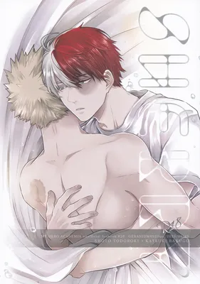 My Hero Academia - SHERRY (Doujinshi)