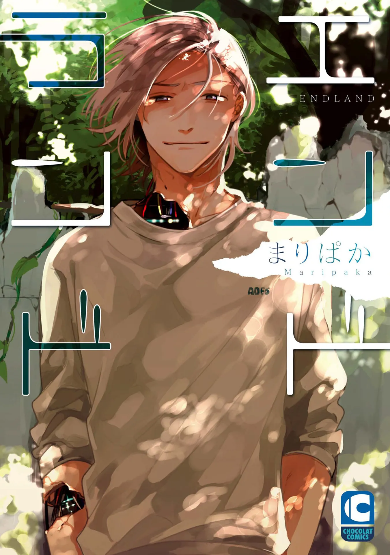 Endland background