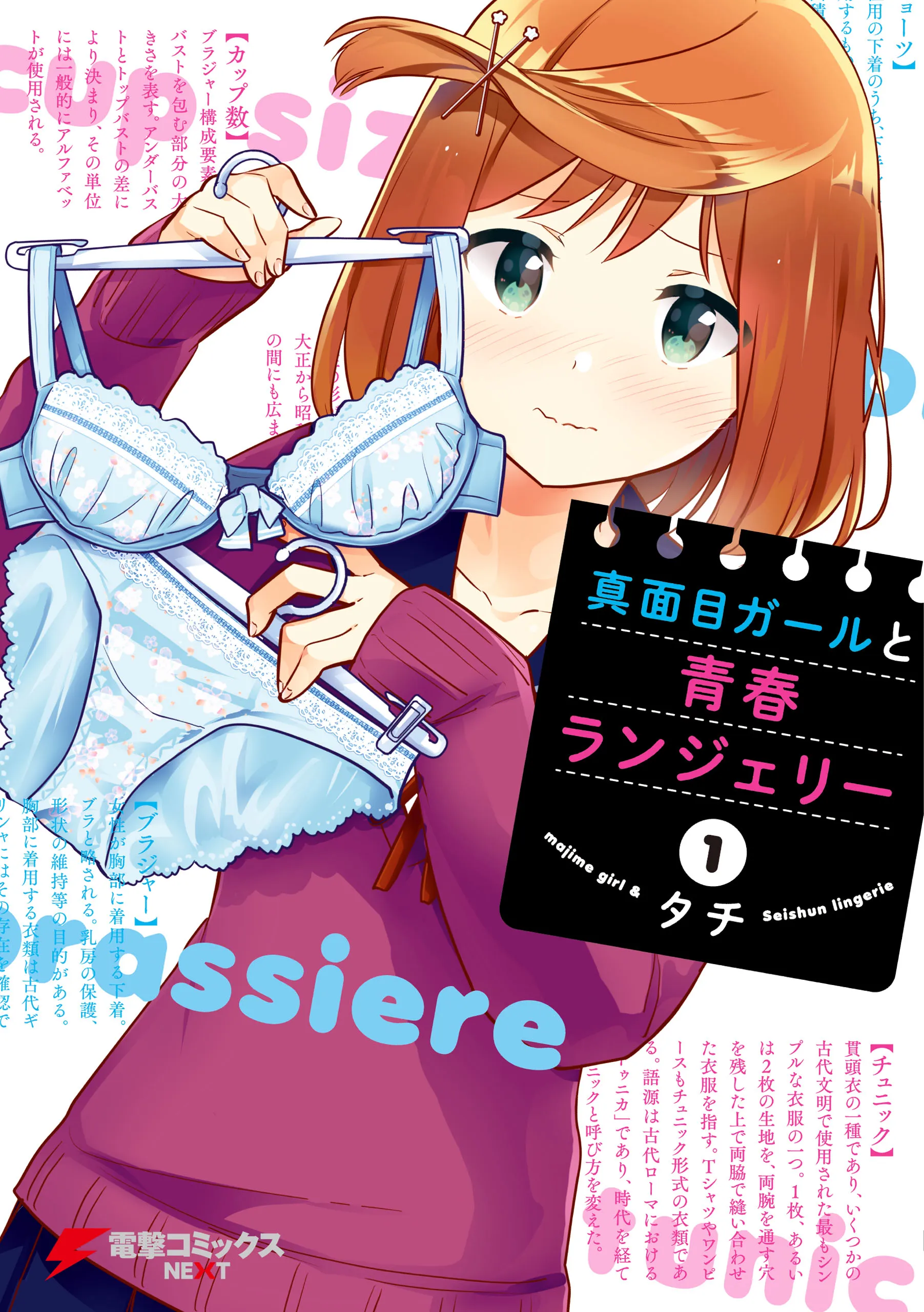Majime Girl to Seishun Lingerie background