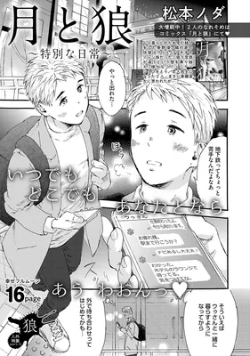Tsuki to Ookami - Tokubetsu na Nichijou
