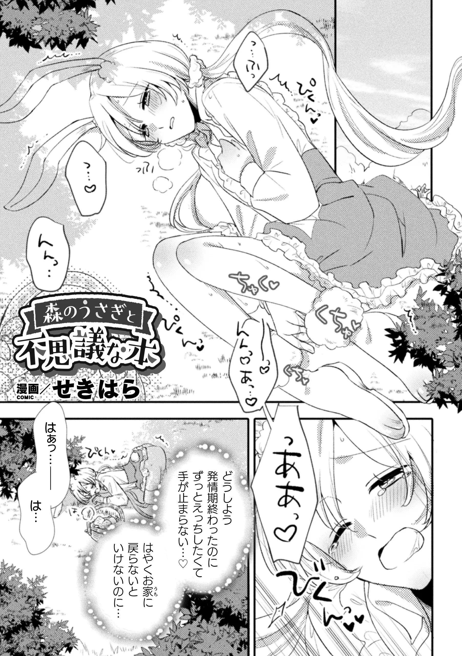 The Forest Rabbit and the Mysterious Book background