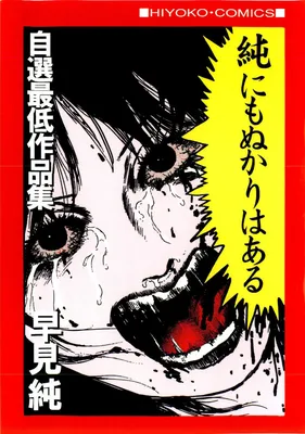 Jun has his Share of Mistakes - Jun Hayami's Self-Selected Worst Works