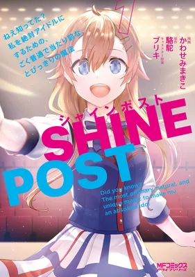 Shine Post
