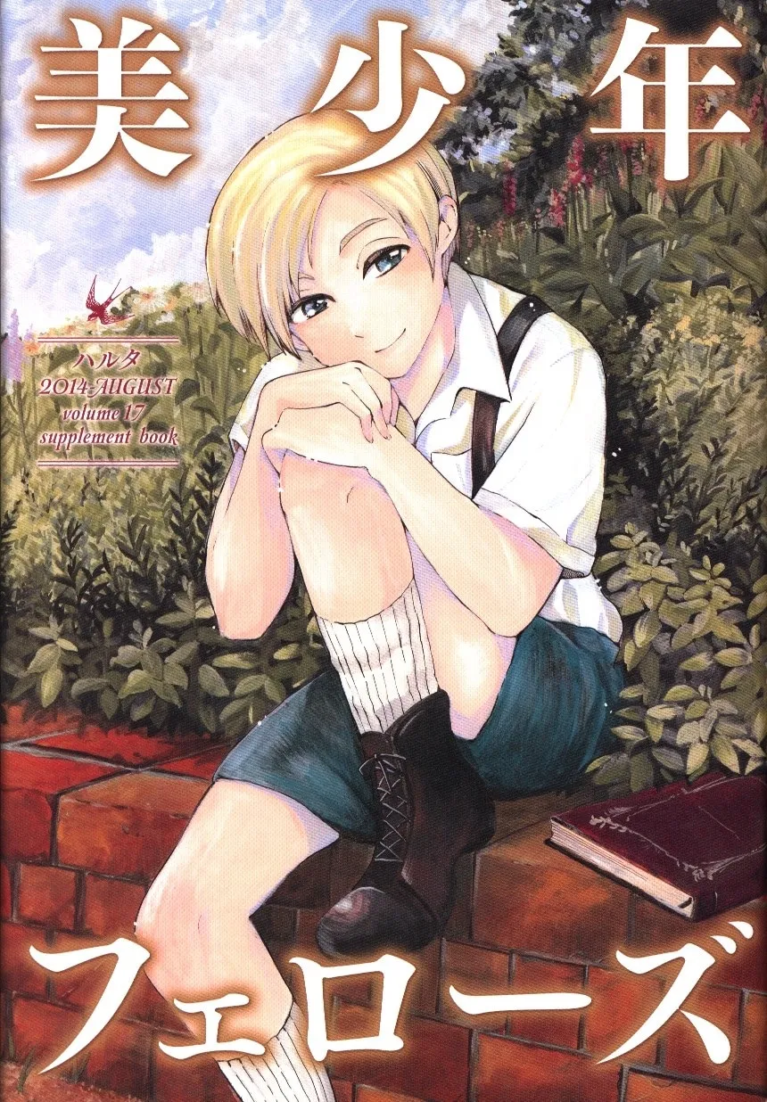 Beautiful Boy Fellows! background