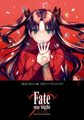 Fate/stay night [Unlimited Blade Works]