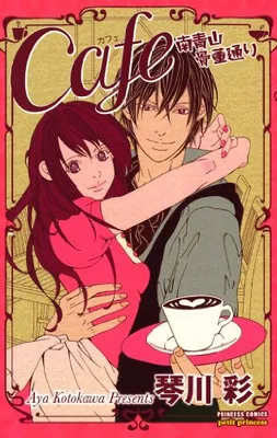 Cafe Minamiaoyama Kottoudoori