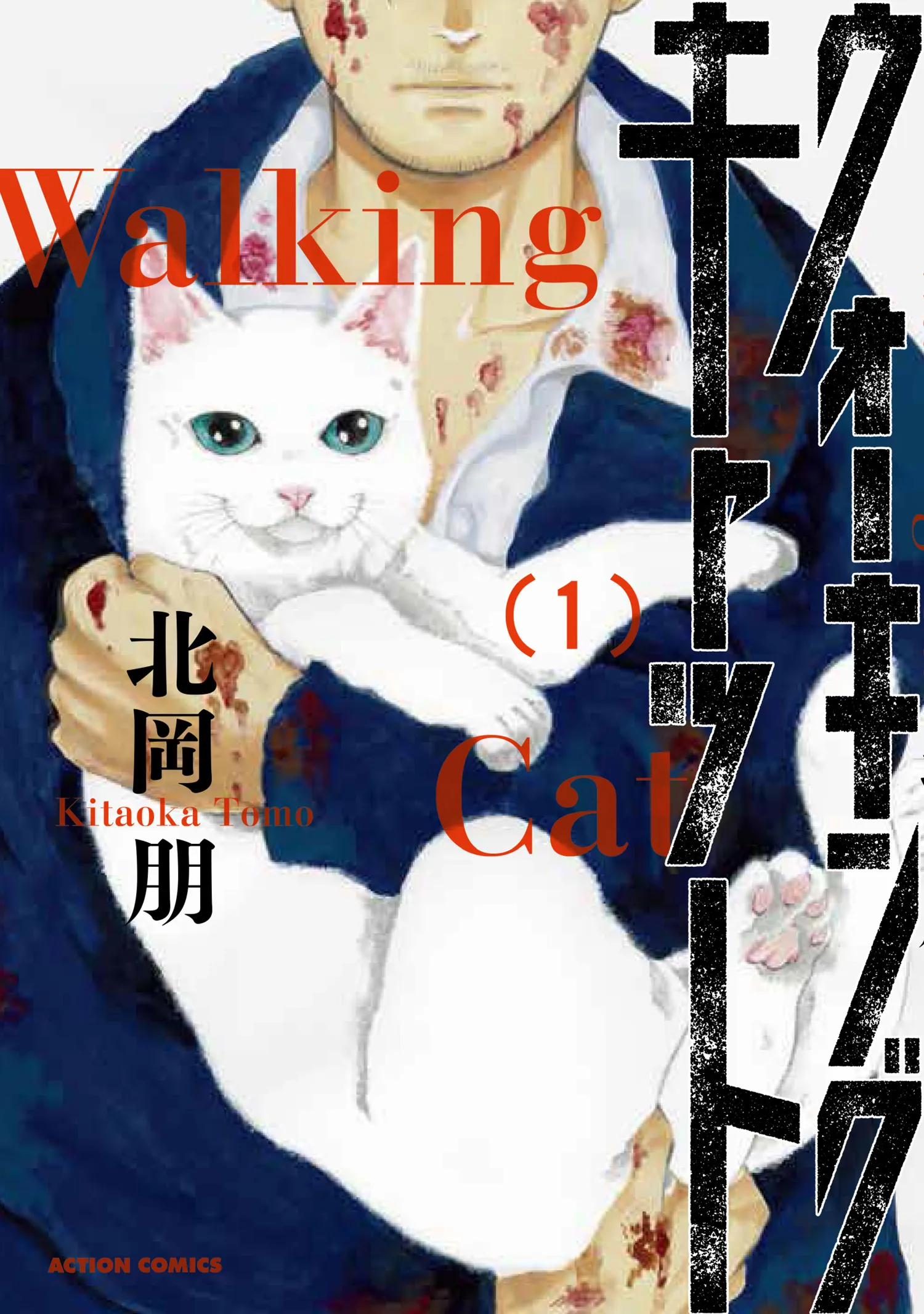 Walking Cat background