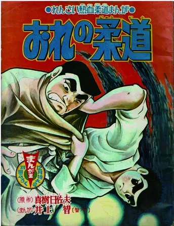 My Judo background