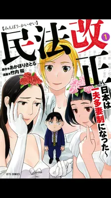 Amended Civil Code - Japan Becomes a Polygamous Marriage System