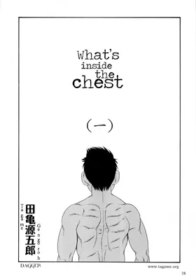 What's Inside the Chest