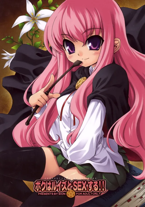 Zero no Tsukaima - Boku wa Louise to Sex Suru (Doujinshi)