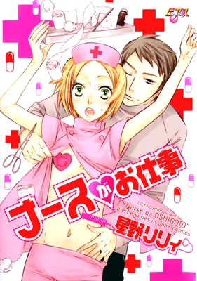 The Nurse's Job