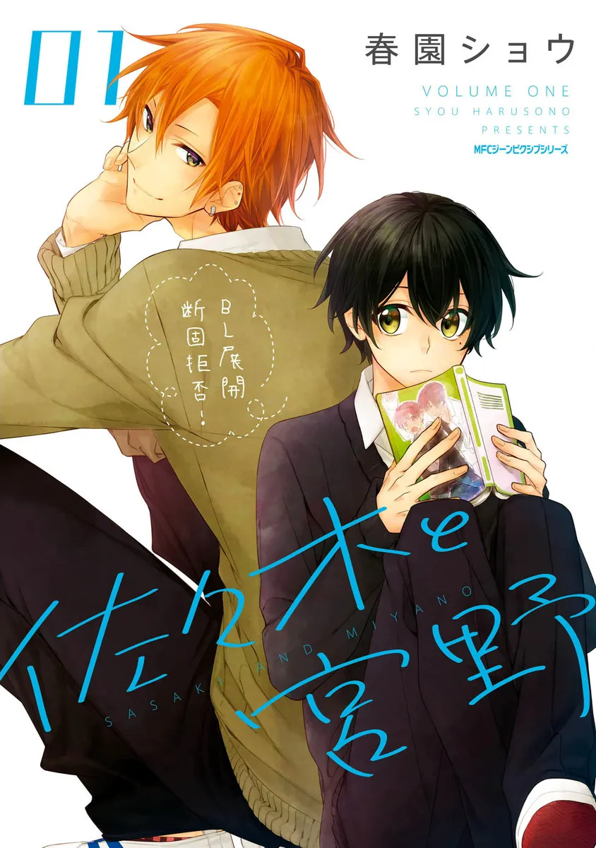 Sasaki and Miyano background