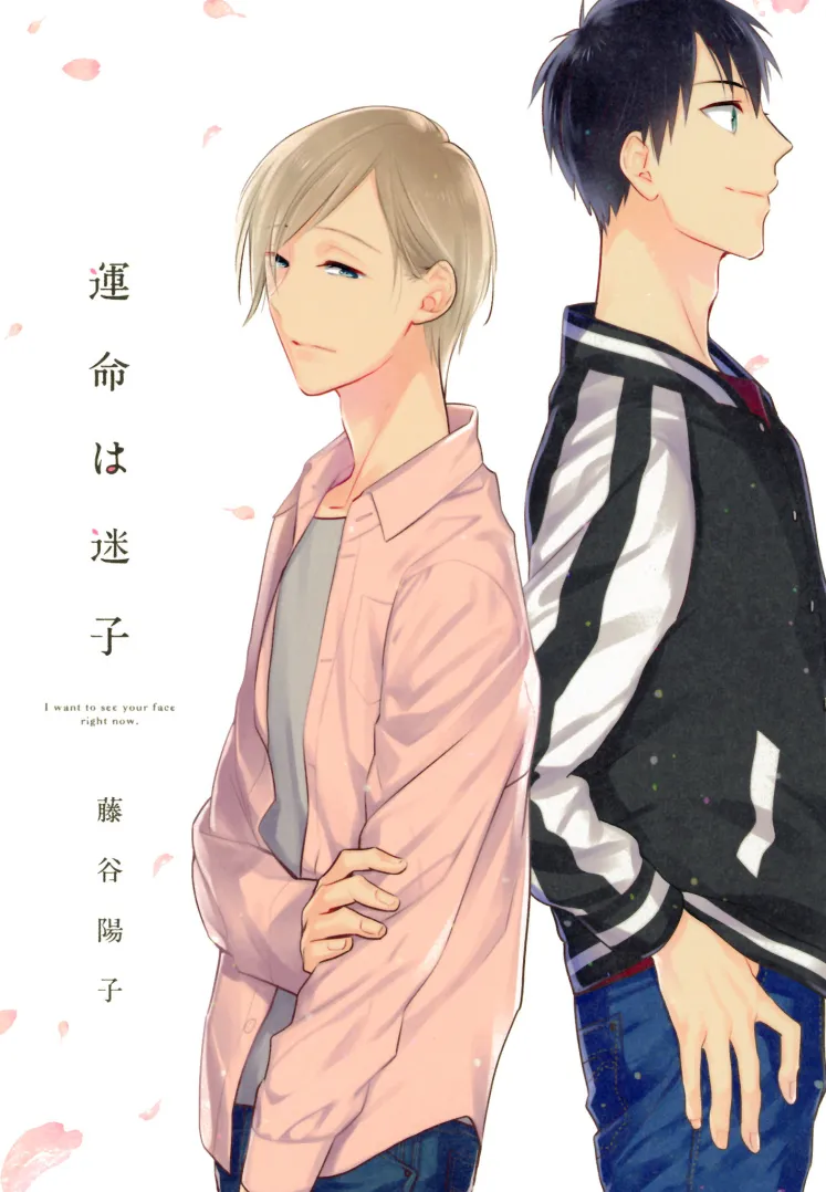 Unmei wa Maigo background