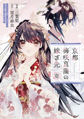 Kyoto - Umesaki Ayame no Totsugisaki