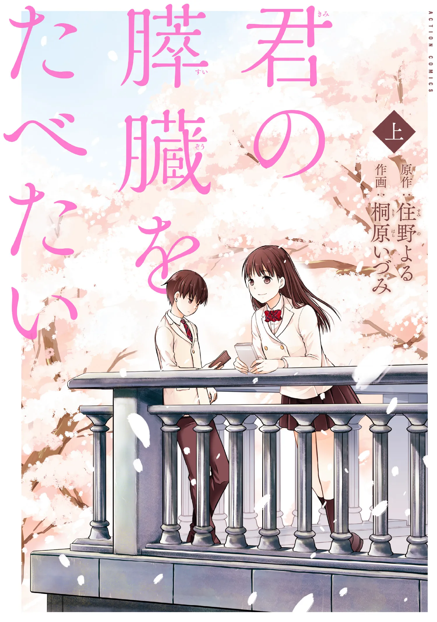 Kimi no Suizou wo Tabetai background