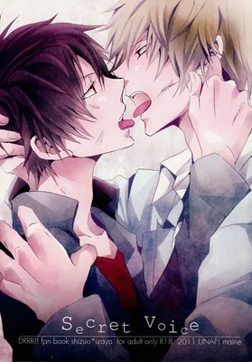 Durarara!! - Secret Voice (Doujinshi)