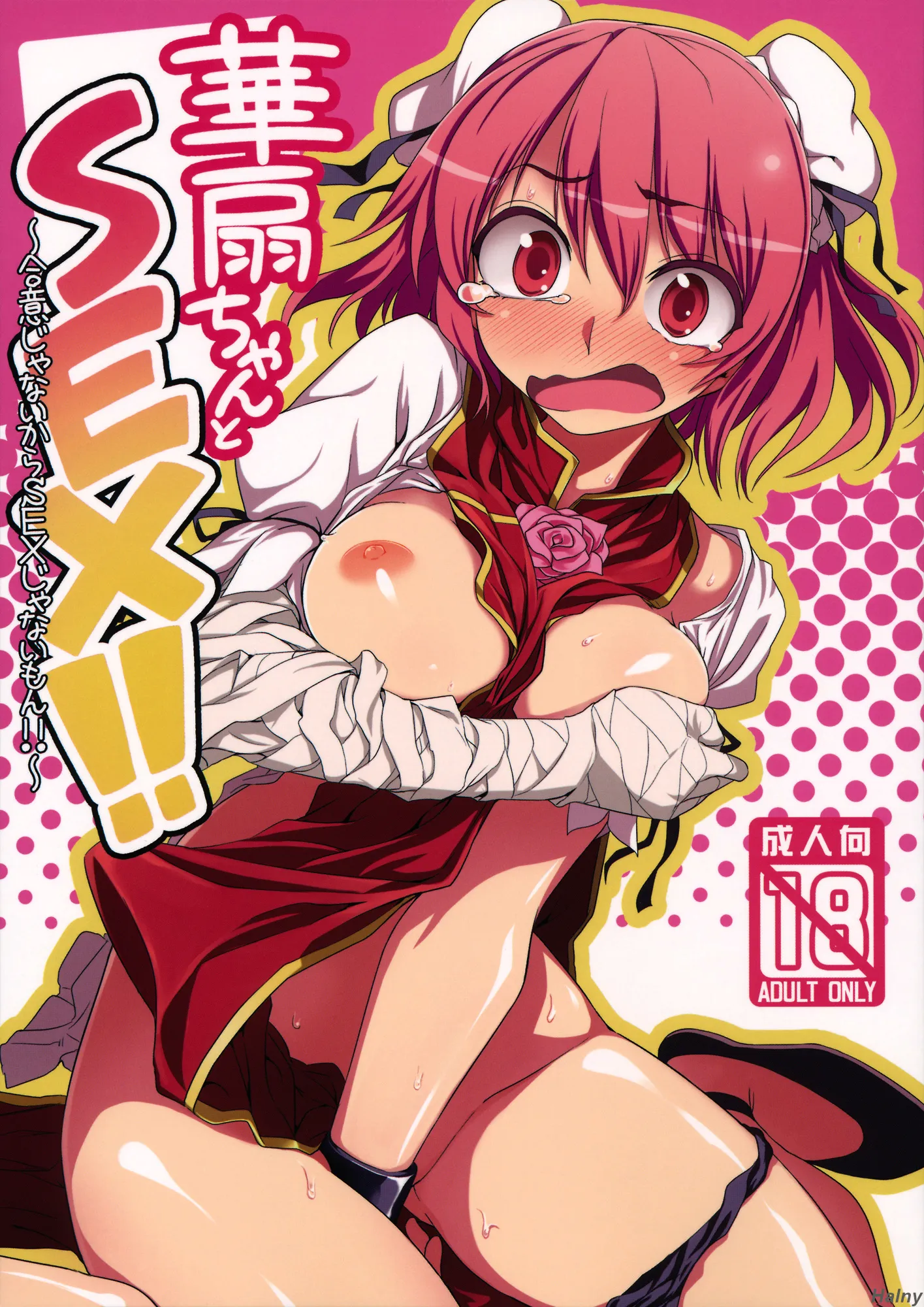 Touhou - Kasen-chan to Sex!! ~Goui ja Nai kara Sex ja Nai mon!!~ (Doujinshi) background