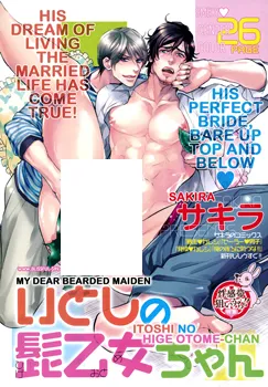 Itoshi no Hige Otome-chan background