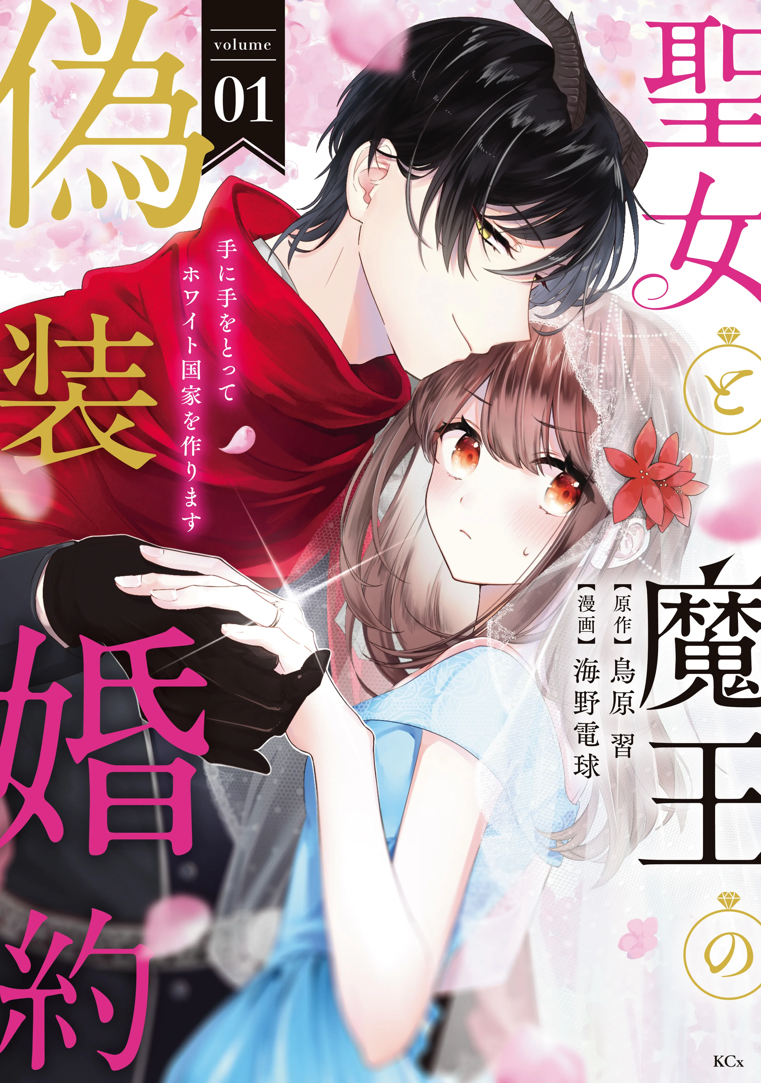 Seijo to Maou no Gisou Konyaku background