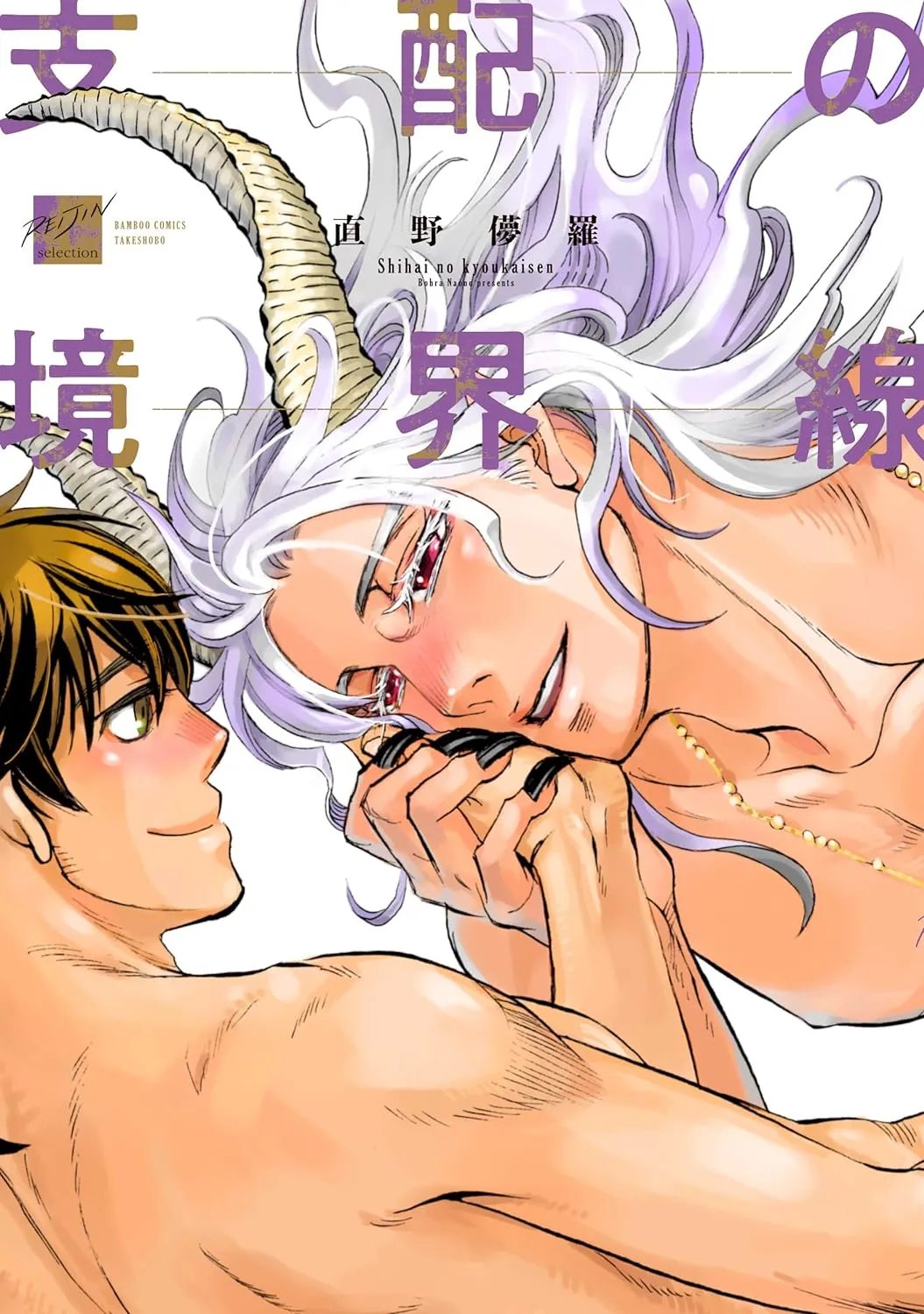 Shihai no Kyoukaisen background