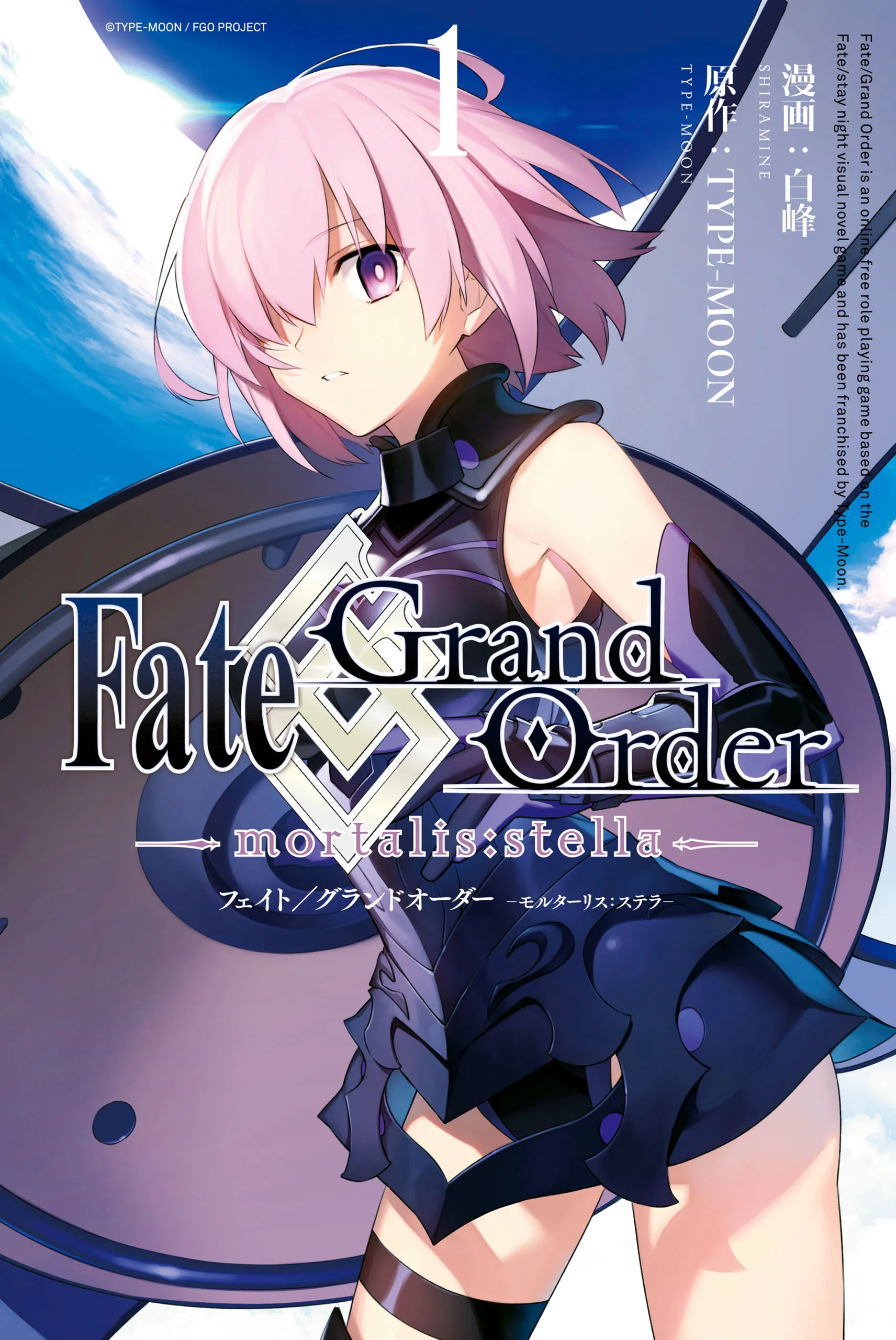 Fate/Grand Order -mortalis:stella- background
