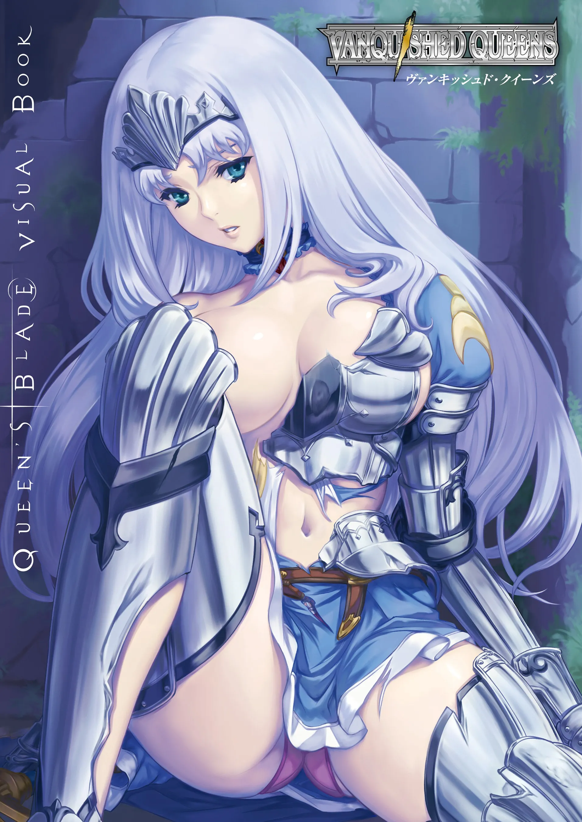 Queen's Blade - Vanquished Queens (Visual Book) background