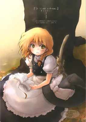 Touhou - Hatsukoi Crazy (Doujinshi)