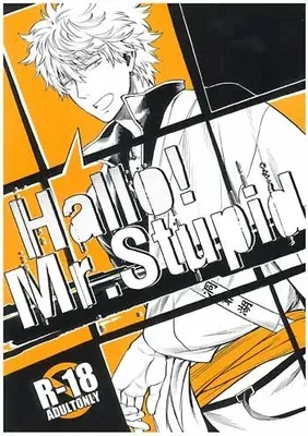 Gintama - Hallo! Mr.Stupid (Doujinshi)