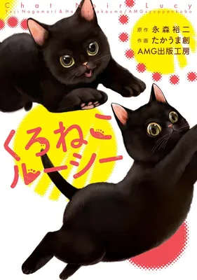 Chat Noir Lucy