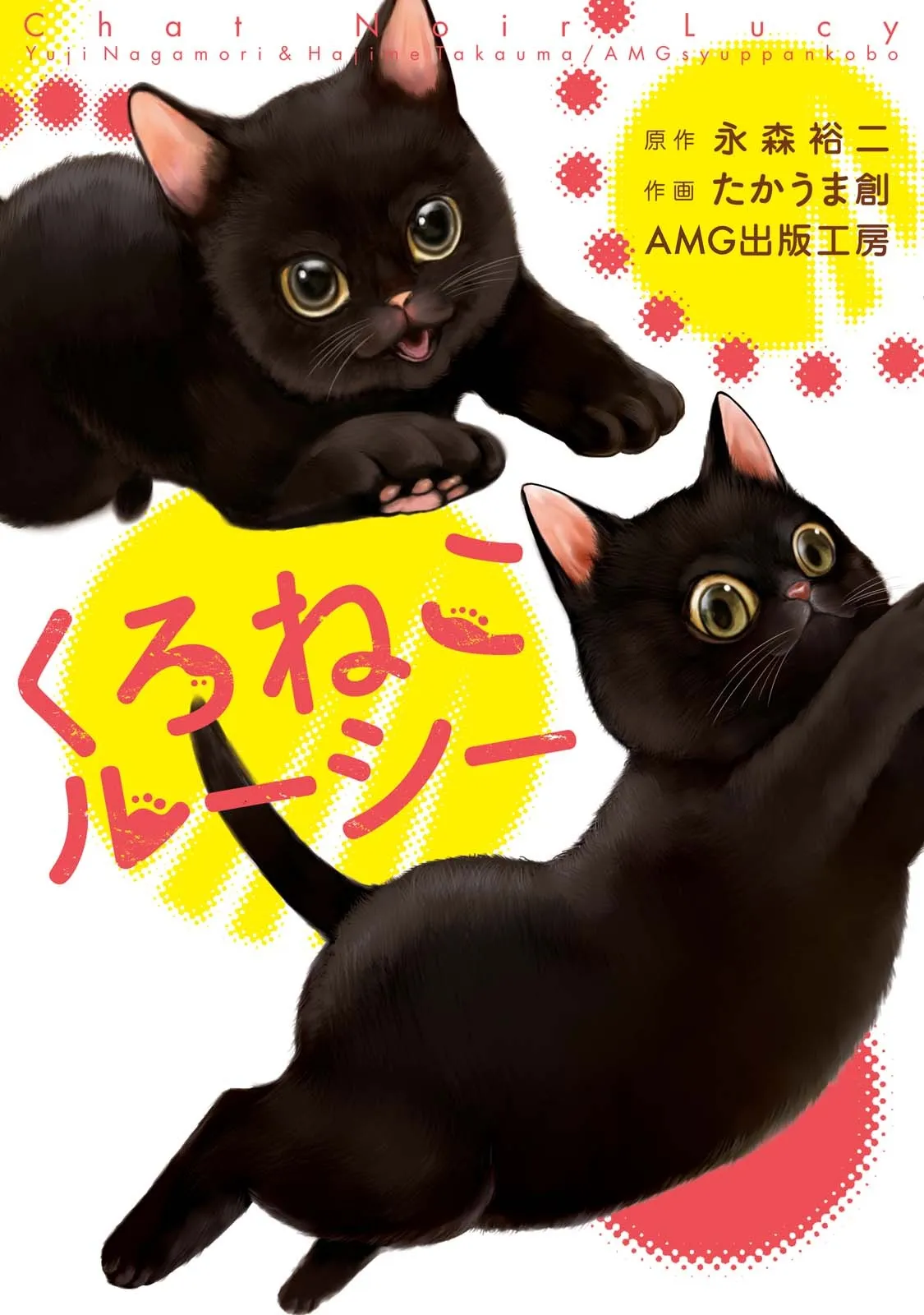 Chat Noir Lucy background