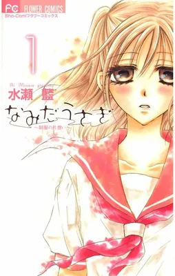 Namida Usagi ~Seifuku no Kataomoi~