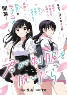 Kimi wa Seifuku wo Nuidara background