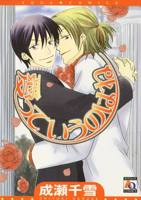 Aitteiu no Hane (NARUSE Chiyuki)