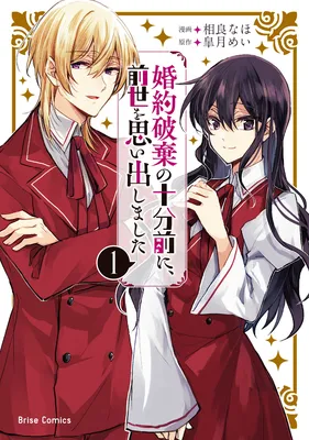 Konyaku Haki no Juubun Mae ni, Zense wo Omoidashimashita