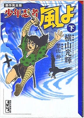 Ninja Boy Style