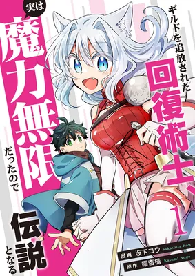 Guild o Tsuihou Sareta Kaifuku Jutsushi, Jitsu wa Maryoku Mugen Datta node Kikakugai no Kaifuku Mahou de Densetsu to Naru