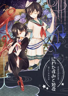 Touhou - Short Summer Nights and Niwatazumi