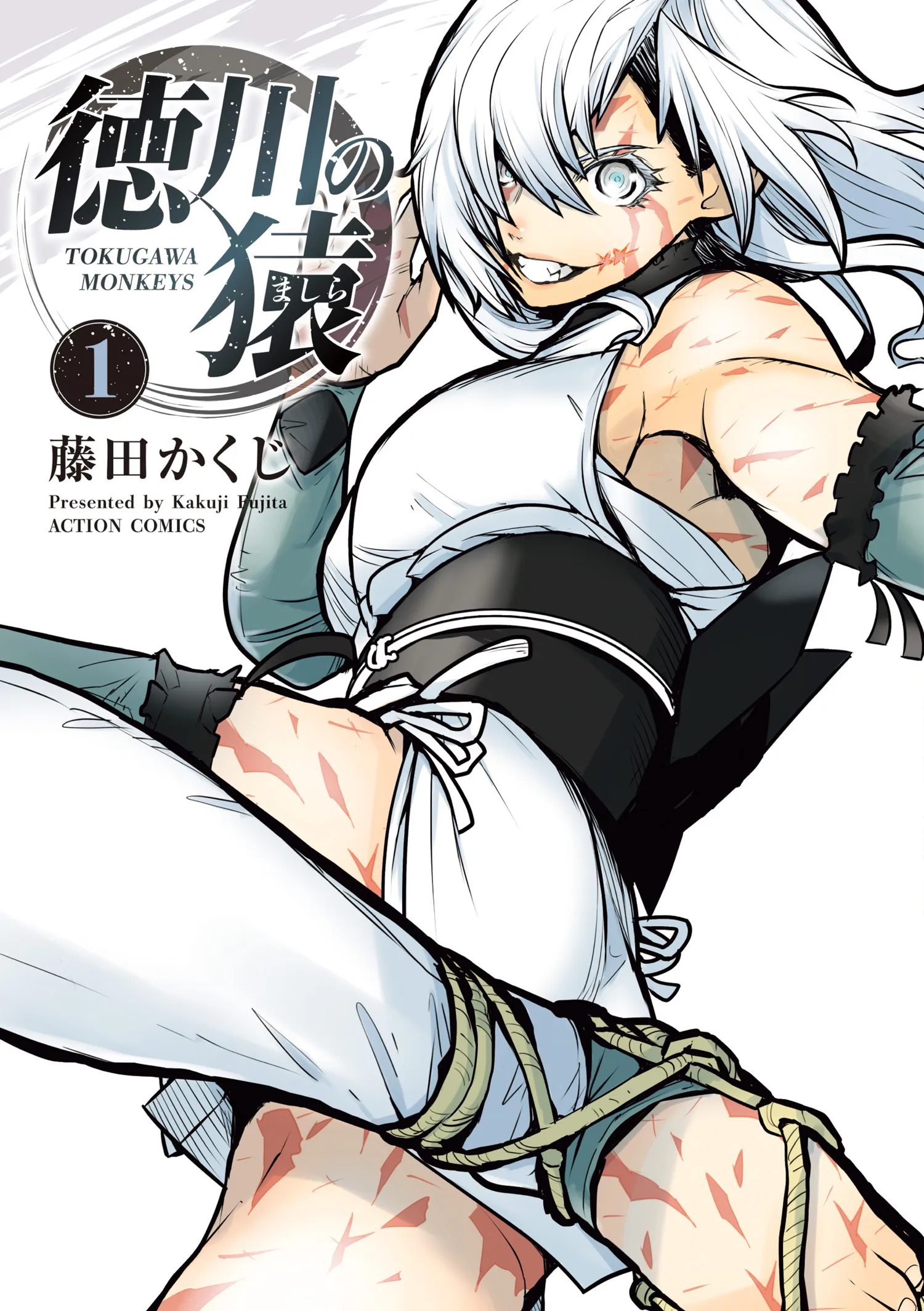 Tokugawa no Saru background