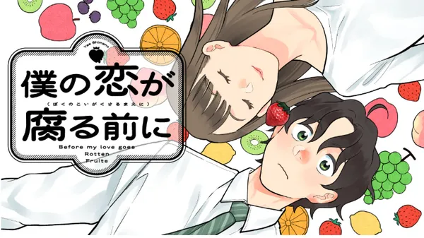 Boku no Koi ga Kusaru Mae ni