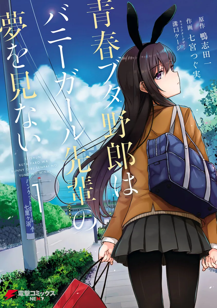 Rascal Does Not Dream of Bunny Girl Senpai background
